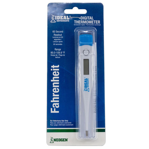 Digital Thermometer - Steve Regan Company