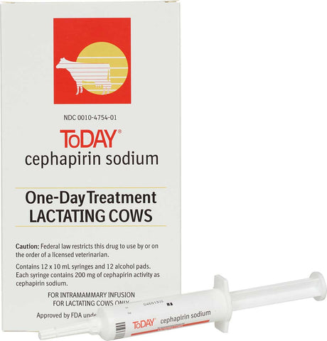 Boehringer Ingelheim - Today - Tube 12 syringe/box (Rx) - Steve Regan Company