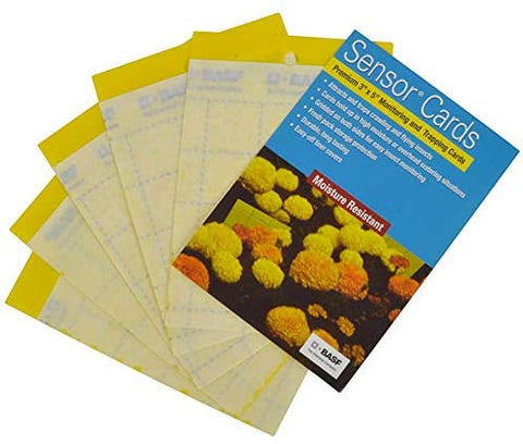 BASF - Sensor Yellow Cards - 50/pack