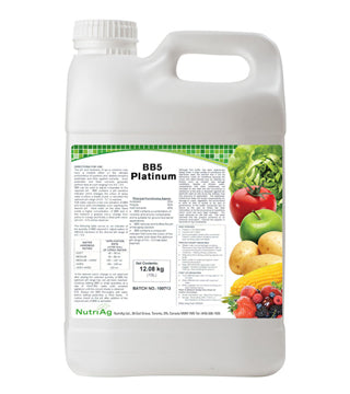 BB5 Platinum - 2.5 gal. ####DD