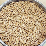 Whole Oats - Triple Cleaned and Clipped Oat - 50 lb (44 pallet)