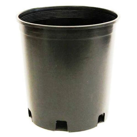 Nursery Supplies - PC1D 1 Gallon Injection Container - 53/Bundle