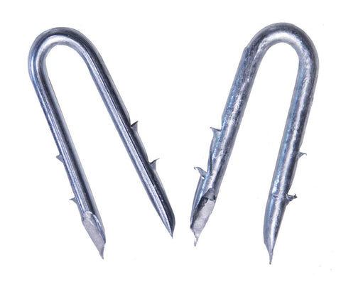 OK Brand - Staples - Double Barbed - 1 3/4" - lb