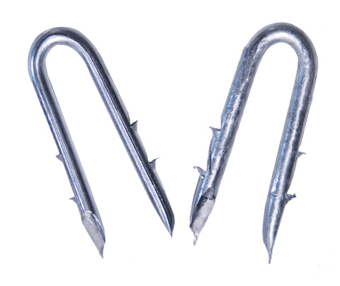 OK Brand - Staples - Double Barbed - 1 1/2" - lb