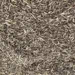 Hycrest Wheatgrass - 1 LB