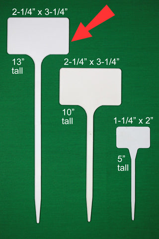 DP Industries - 13" Flat T- Signs - 100/Box