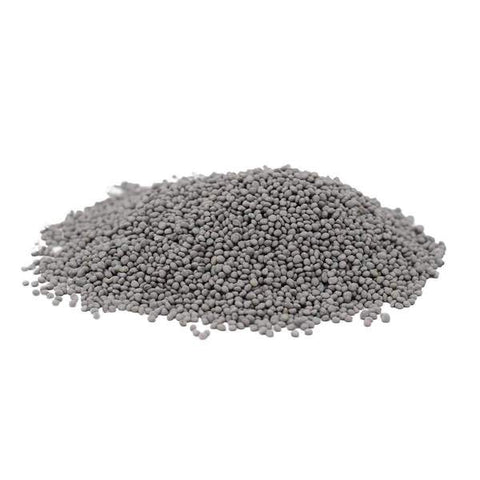 White Dutch Clover (Turf Quality) - lb