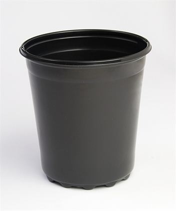 Landmark - 85NTG2- 8.50 Nursery Trade Co-ex 2 gallon - 100/cs