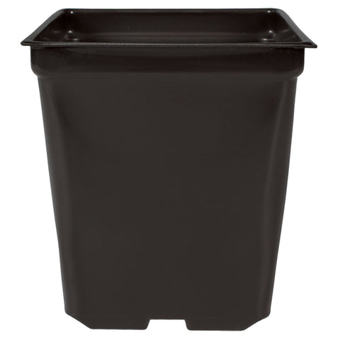 HC Companies - XSQ05500G18 - 5.5" Square Black Co-ex Pot- 200/Case