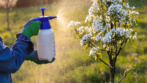 Herbicide Tips and Advice
