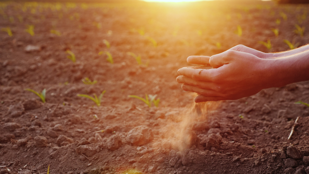 Dealing With Dry Conditions