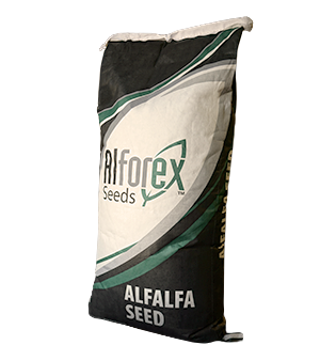 ALFALFA, ALFOREX RUGGED - 1 LB PRICE