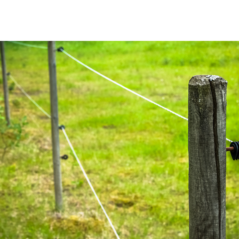 Fencing