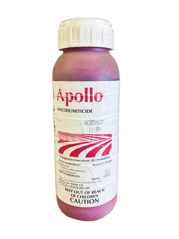 APOLLO- PT EA ####DD