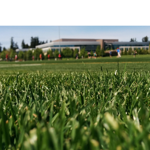 Sports Field Products