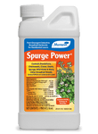 Monterey - Spurge Power - pt