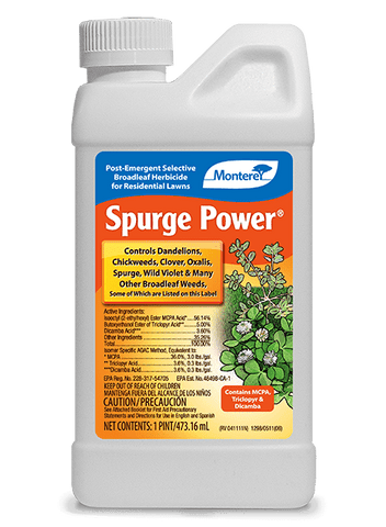 Monterey - Spurge Power - pt