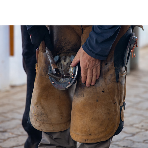 Farrier Supplies