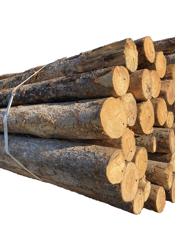 Lodge Pole - 21' x 4-5"