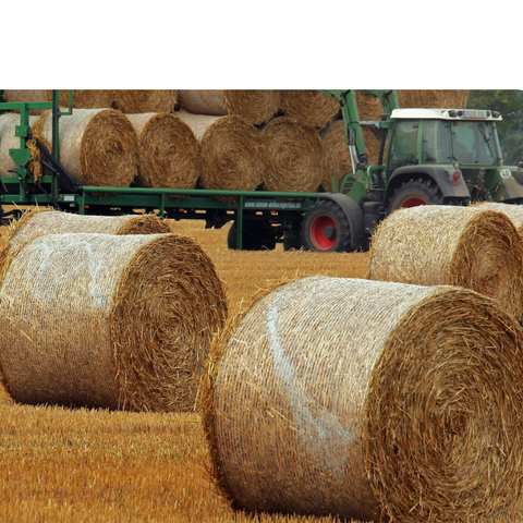 Twine